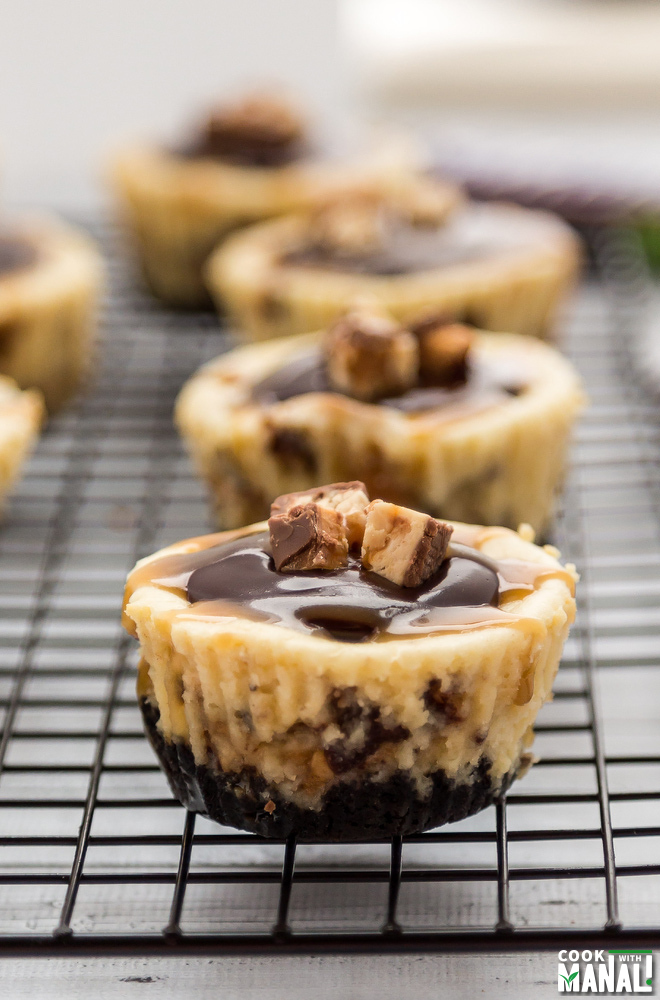 Mini Snickers Cheesecakes - Cook With Manali