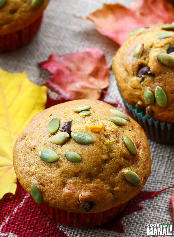 Pumpkin Muffins with Chocolate Chip