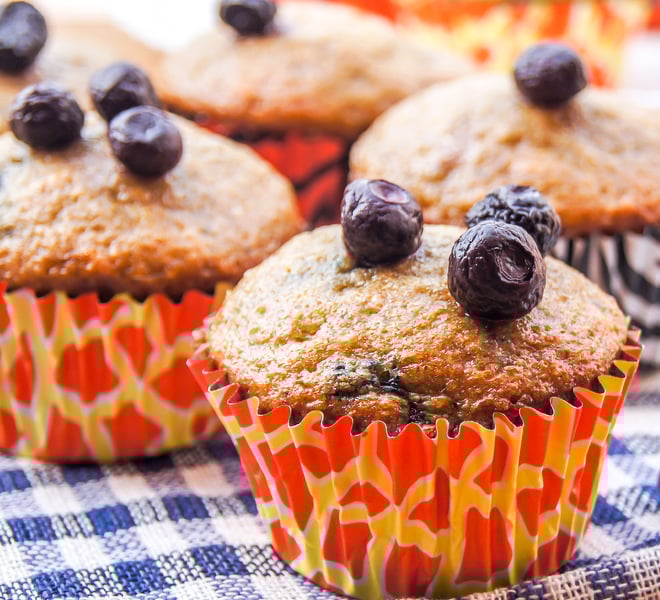 Bluberry-Muffins-1-notitle-cwm
