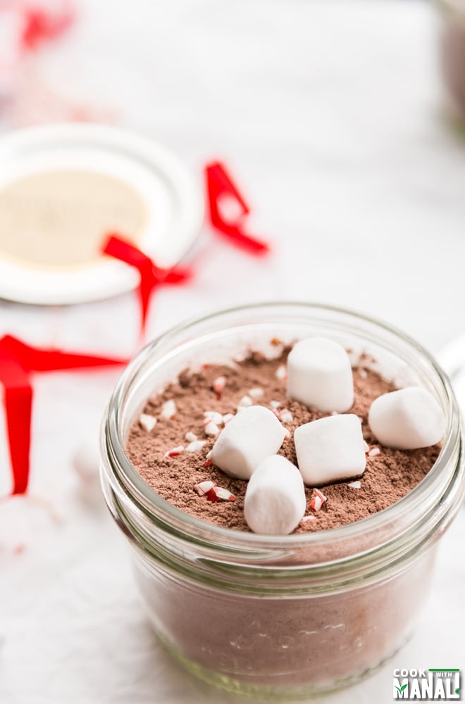 Peppermint Hot Cocoa Mix