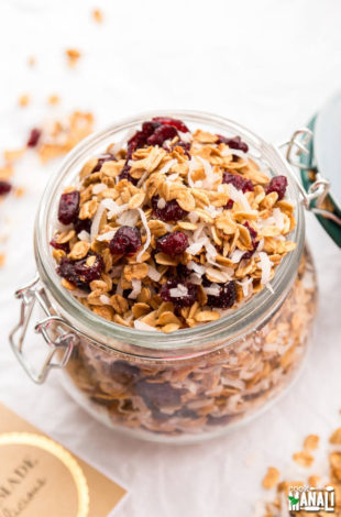 Cranberry & Toasted Coconut Granola - Cook With Manali