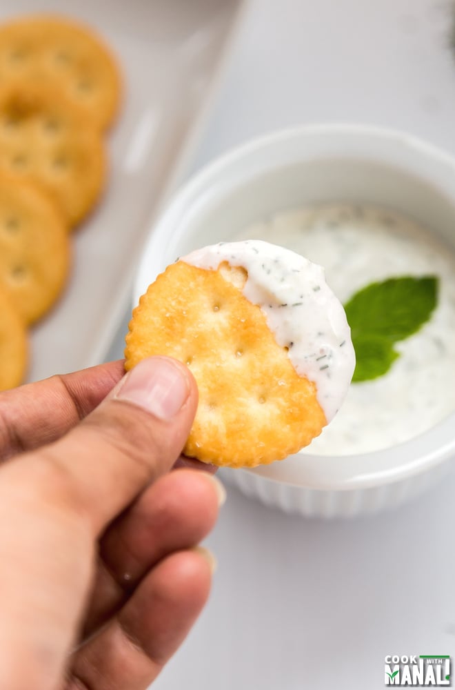 Creamy Cucumber Dip with Sour Cream