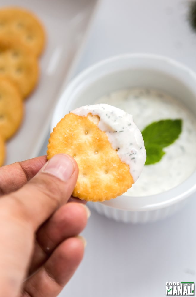 Creamy Cucumber Dip