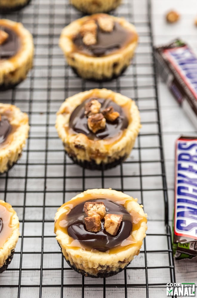 Mini Snickers Cheesecakes