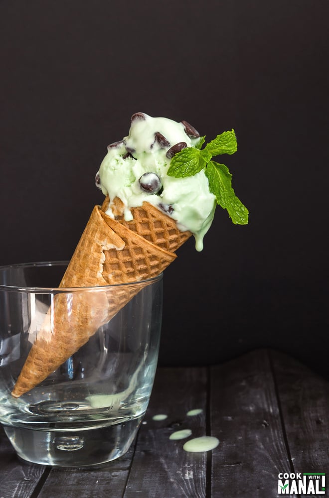 Mint Chocolate Chip Ice Cream-1