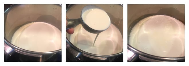 Malai Kulfi Recipe-Step-1