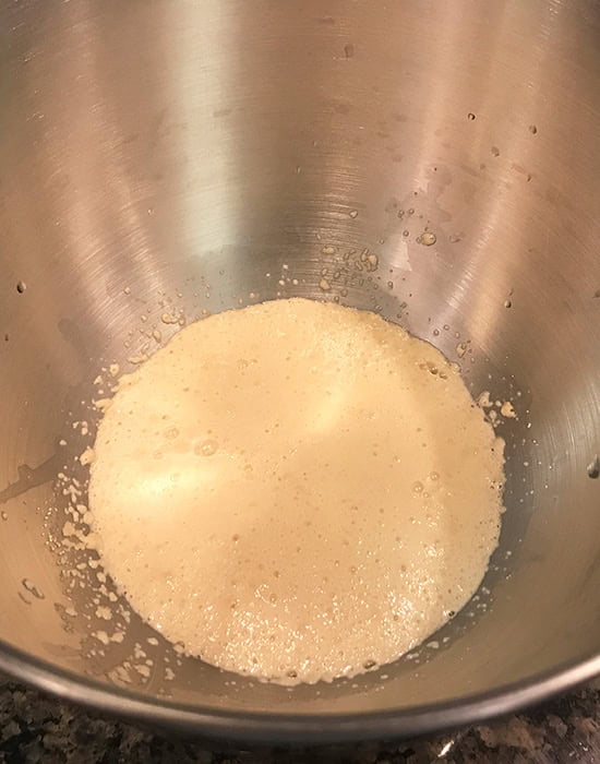 active yeast on top of a steel bowl