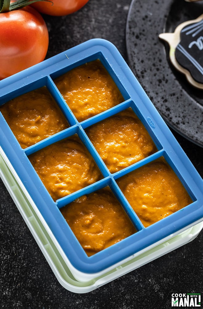 onion tomato masala in ice cube trays