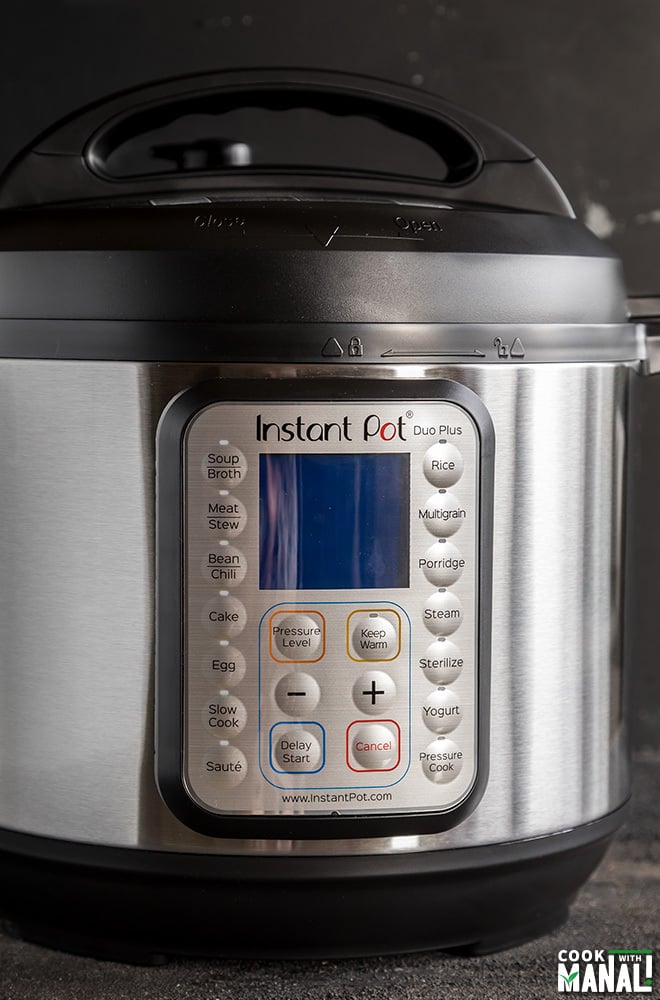Instant Pot Beginner's Guide (Tips & FAQs) - Cook With Manali