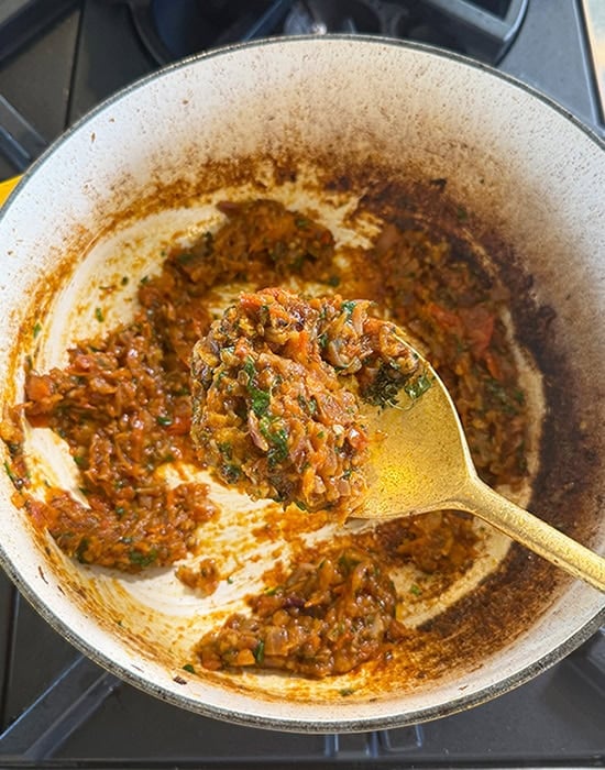spoon showing bhuna masala in a pot