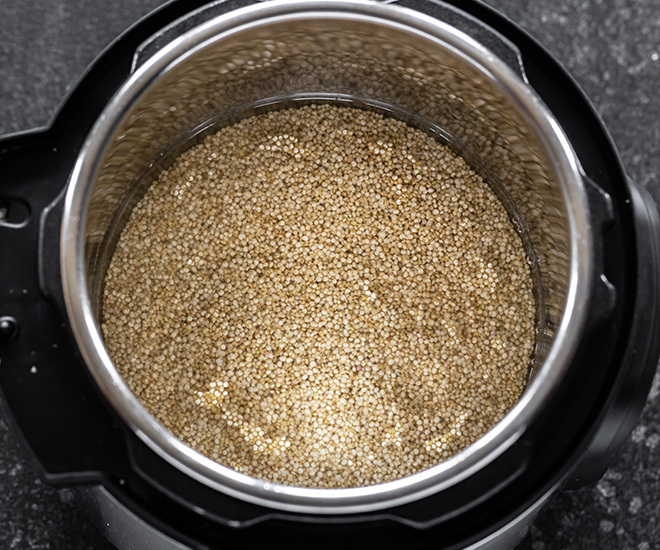 quinoa with water in the instant pot
