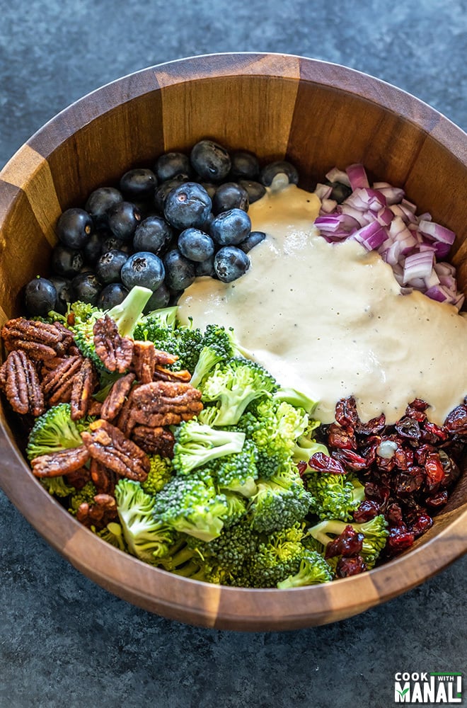 salad bowl with broccoli, blueberries, cranberries, onion, pecans and a cashew dressing