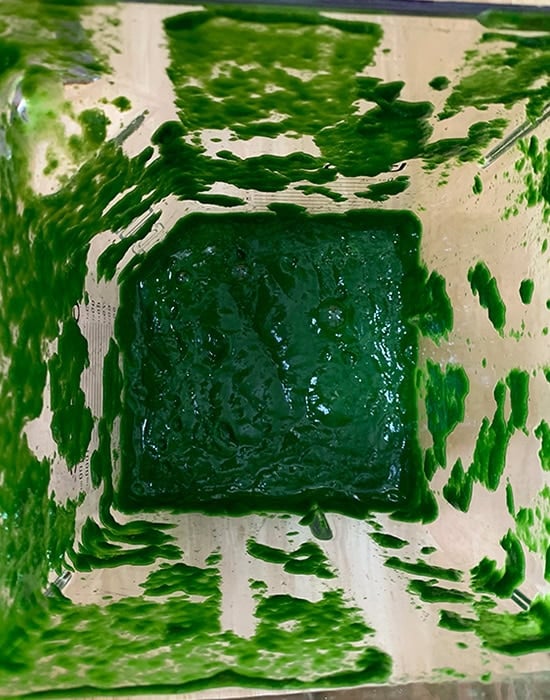 pureed spinach in a blender