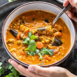 pair of hand holding a bowl of eggplant carrot curry
