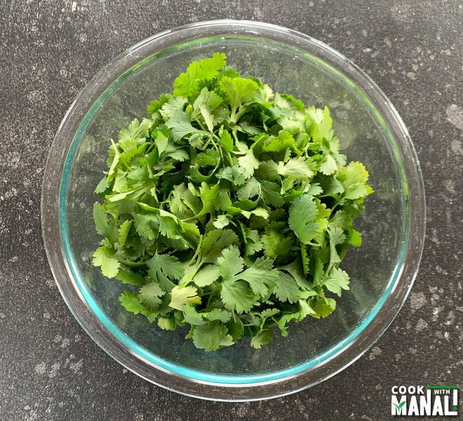 Cilantro Chutney Cook With Manali