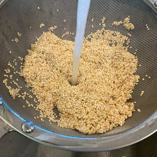 quinoa being rinsed in a strainer