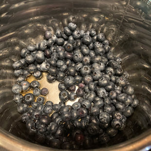 blueberries placed in instant pot