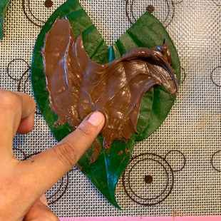 nutella being applied on a paan leaf