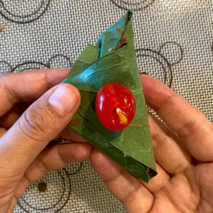  ciliegia intera sulla cima di un paan piegato