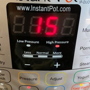 instant pot display timer displaying 15