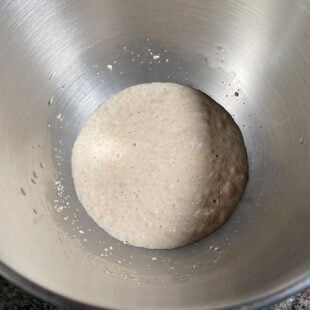 frothy yeast mixture