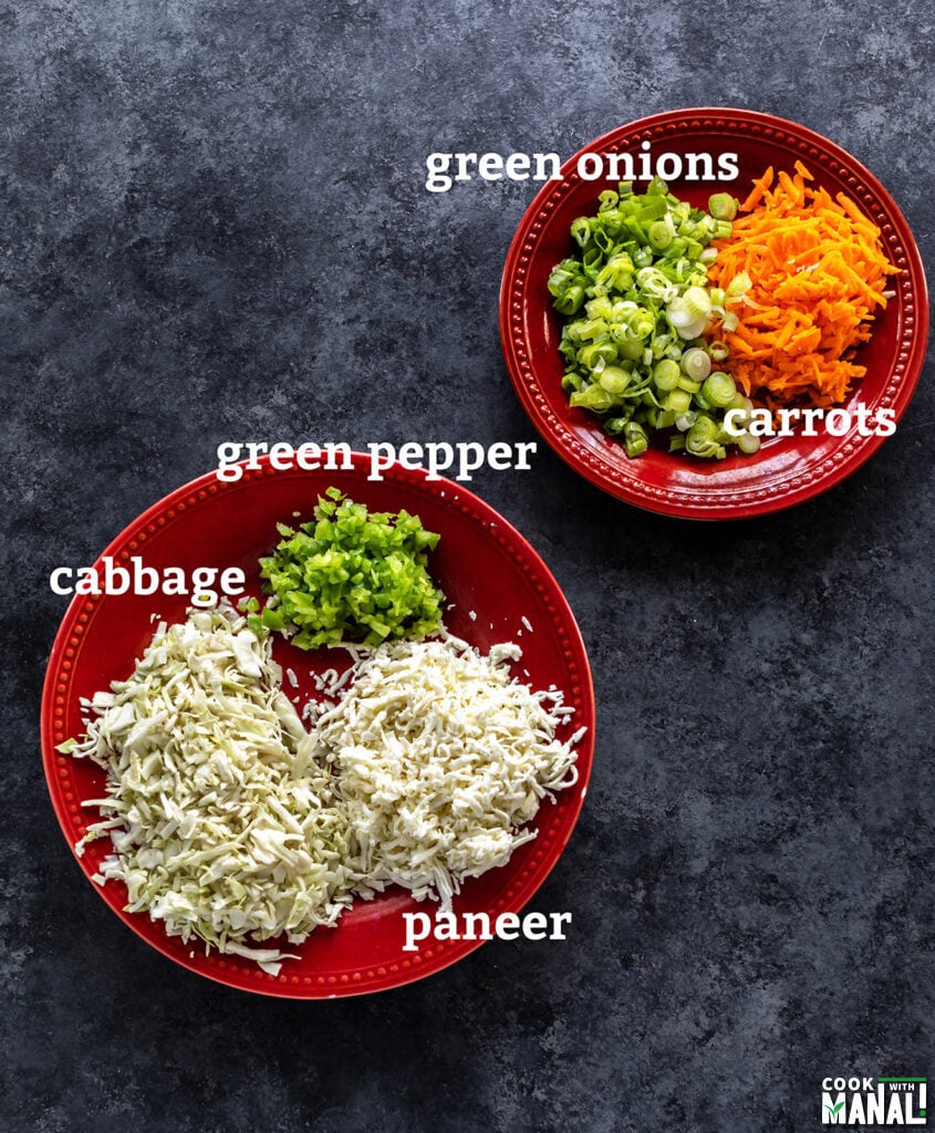 chopped vegetables like cabbage, pepper placed on round red plates