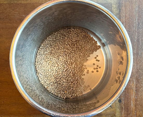 dal in instant pot