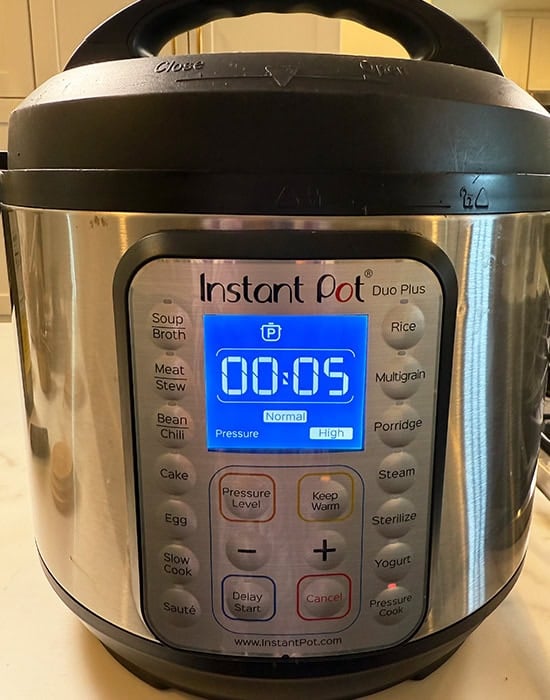 instant pot displaying timer of 5 minutes